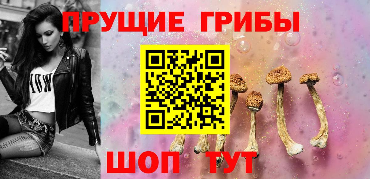 Псилоцибиновые грибы Psilocybine cubensis  Вход с VPN  Камышлов 