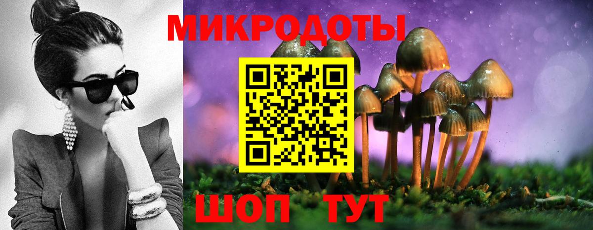 Псилоцибиновые грибы Cubensis Камышлов
